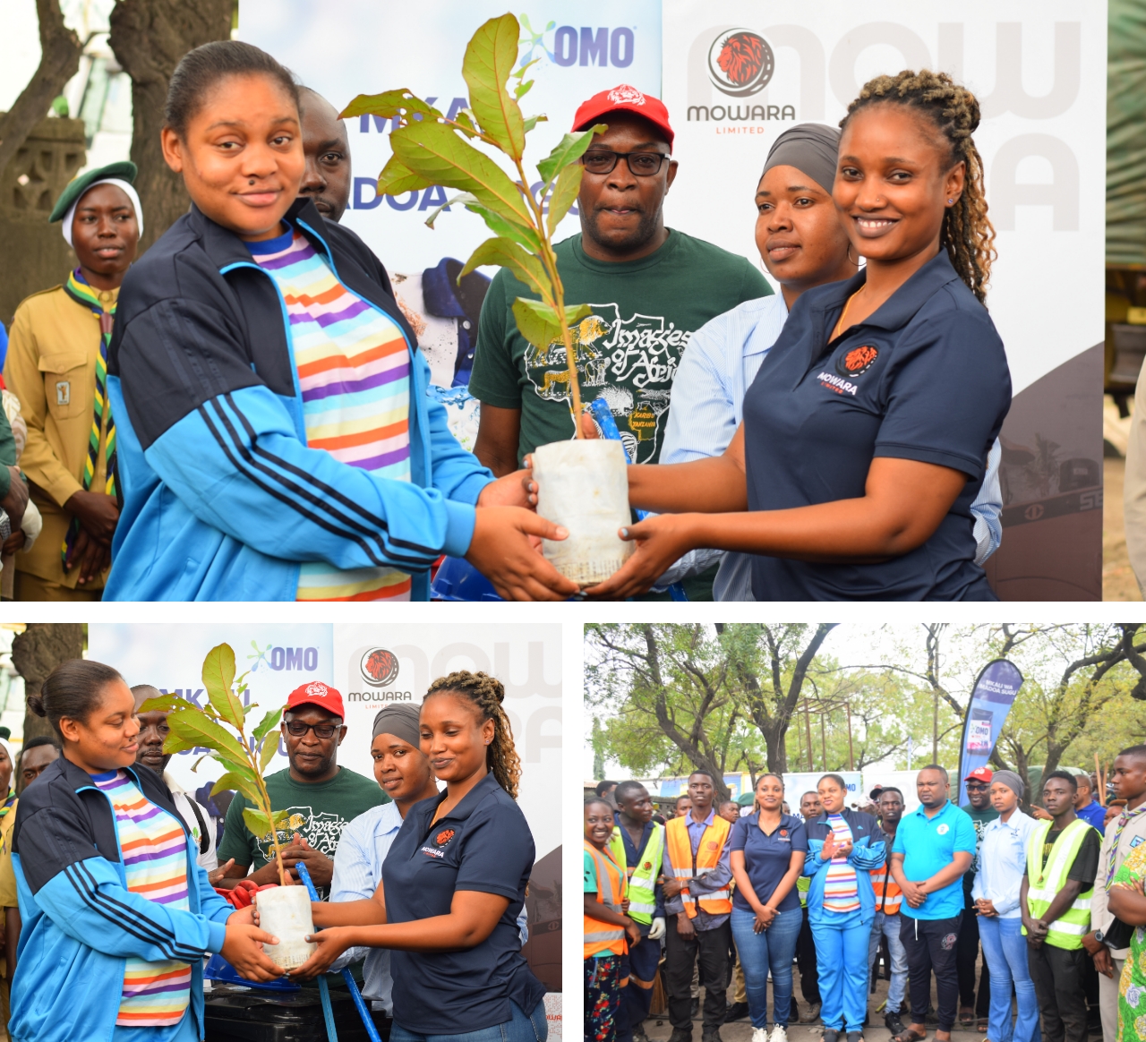 Donation and Participation of Tree Planting Activity